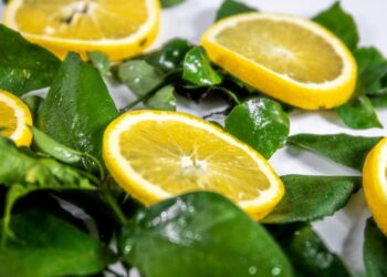 Alcachofas al horno: receta saludable y sencilla de temporada