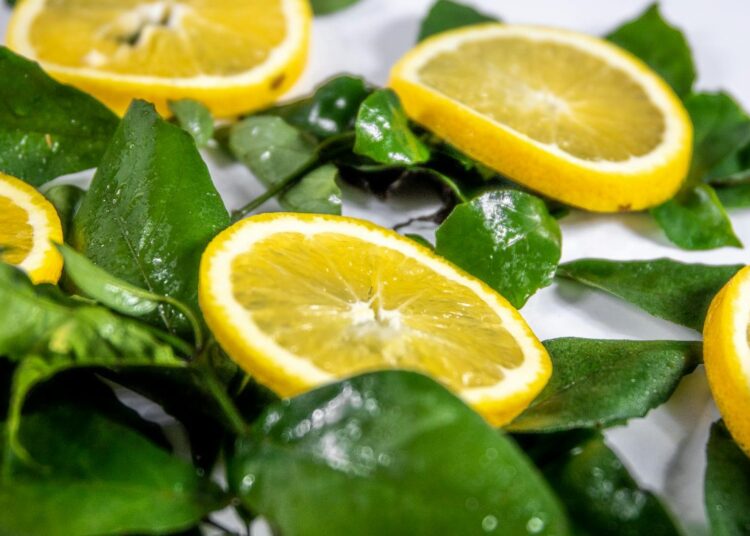 Alcachofas al horno: receta saludable y sencilla de temporada