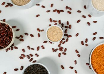Proteínas vegetales: las mejores fuentes y cómo combinarlas para una dieta completa