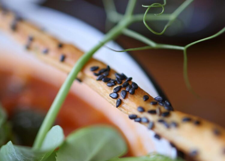 Cuenco de salmorejo cordobés cremoso de tomate servido frío con un hilo de aceite de oliva
