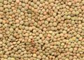 Lentejas y legumbres, alimentos ricos en hierro de origen vegetal