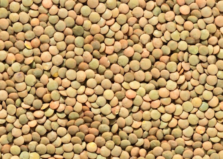 Lentejas y legumbres, alimentos ricos en hierro de origen vegetal