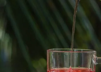 Vaso de agua de jamaica casera con flores de hibisco rojas y hielo sobre fondo claro