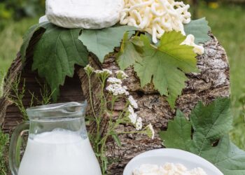 Alimentos ricos en calcio: queso fresco y leche sobre mesa de madera