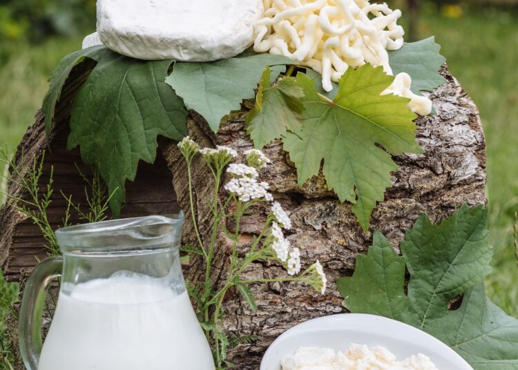 Alimentos ricos en calcio: queso fresco y leche sobre mesa de madera