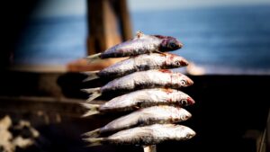 Sardinas a la plancha: receta fácil, jugosas y sin humo