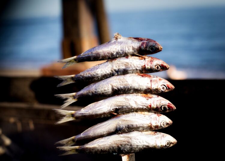 Sardinas a la plancha doradas al fuego, receta tradicional de verano