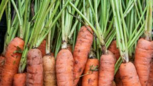 Zanahorias frescas, uno de los alimentos ricos en vitamina A más accesibles