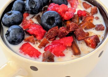 Bol de yogur griego casero cremoso con frutos rojos frescos y cuchara