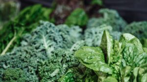 Verduras de hoja verde frescas, alimentos ricos en vitamina K