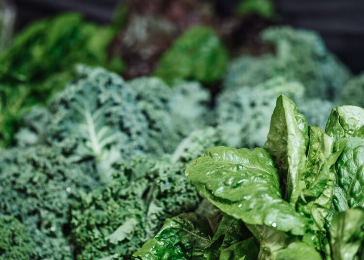 Verduras de hoja verde frescas, alimentos ricos en vitamina K